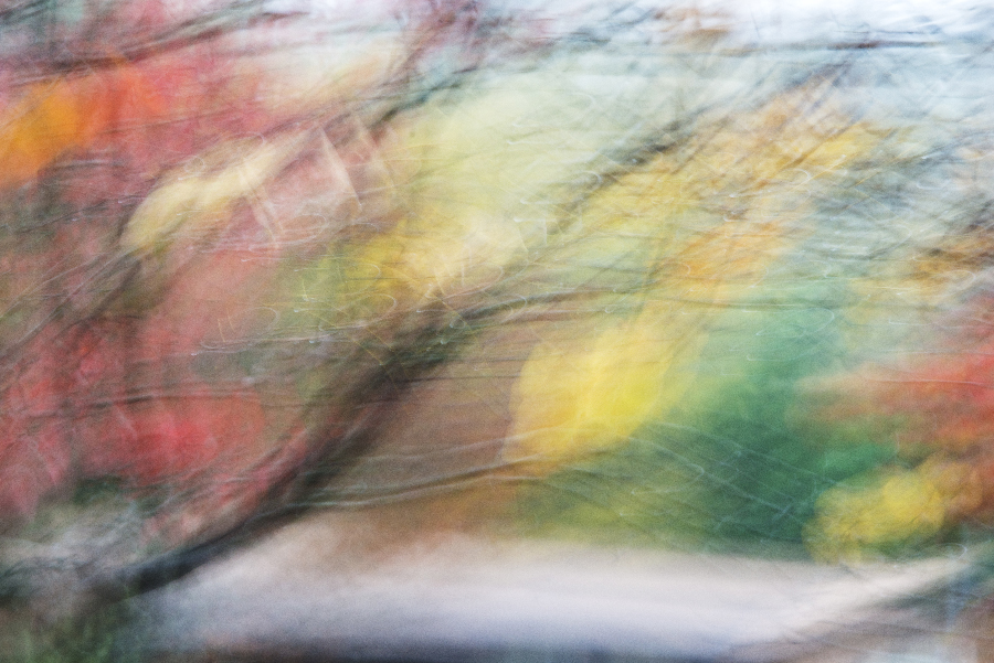 _DSC9513_2415 copy.jpg