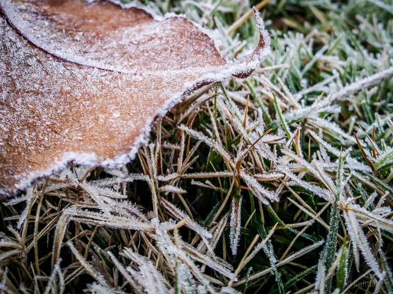 2013-11-08 07.07.21.jpg