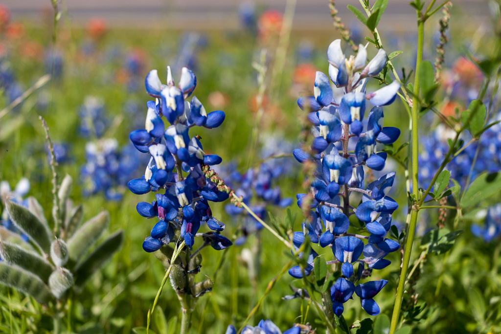 제목 없음-0525.jpg