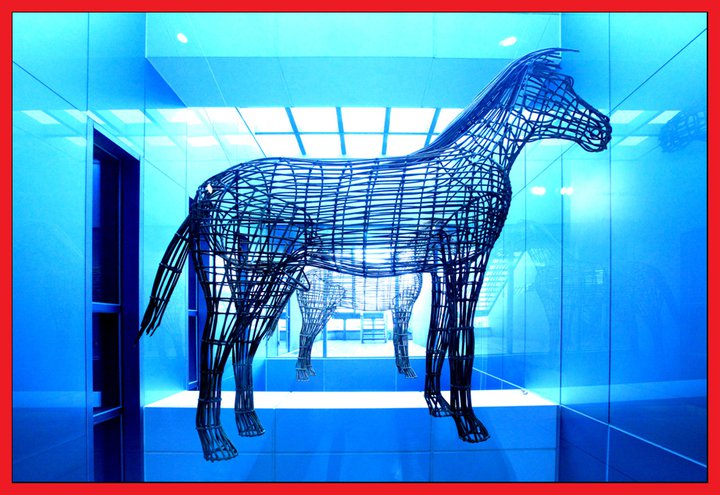 horse991.jpg : Blue Image