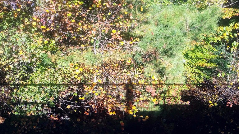 20171110_100955 (1) (1).jpg