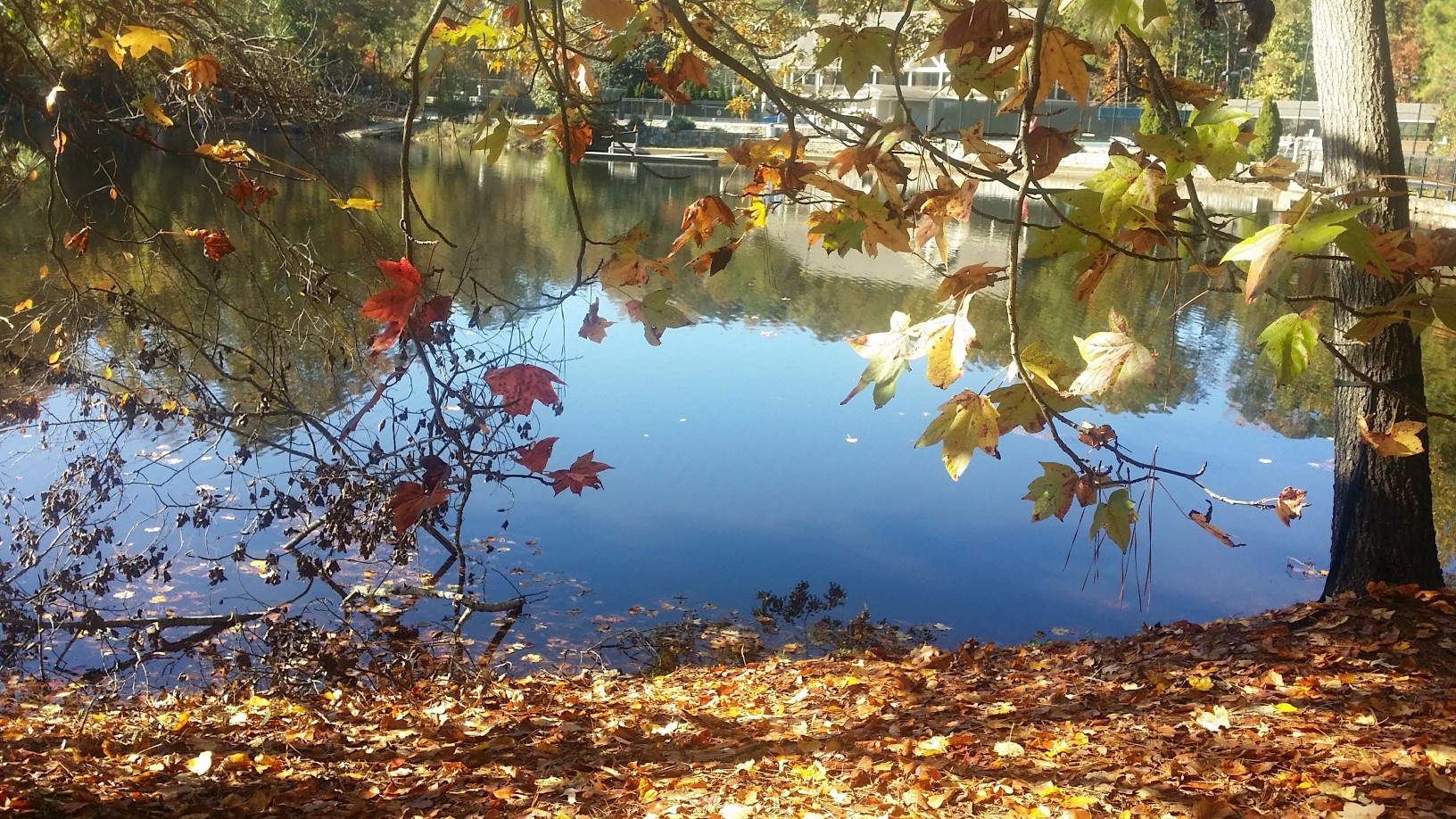 20171110_101533-EFFECTS (8).jpg