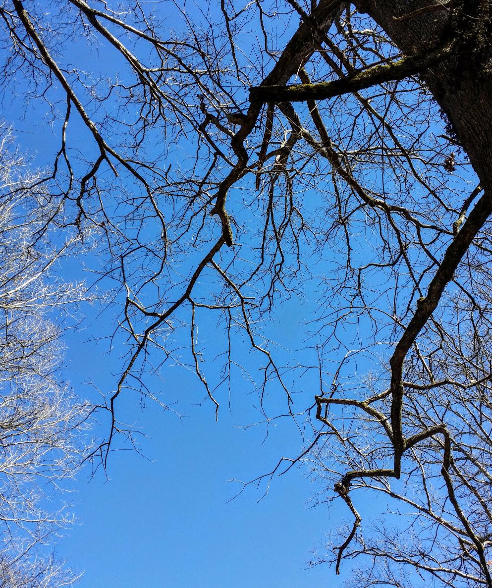 20160105_125747-1 (1).jpg