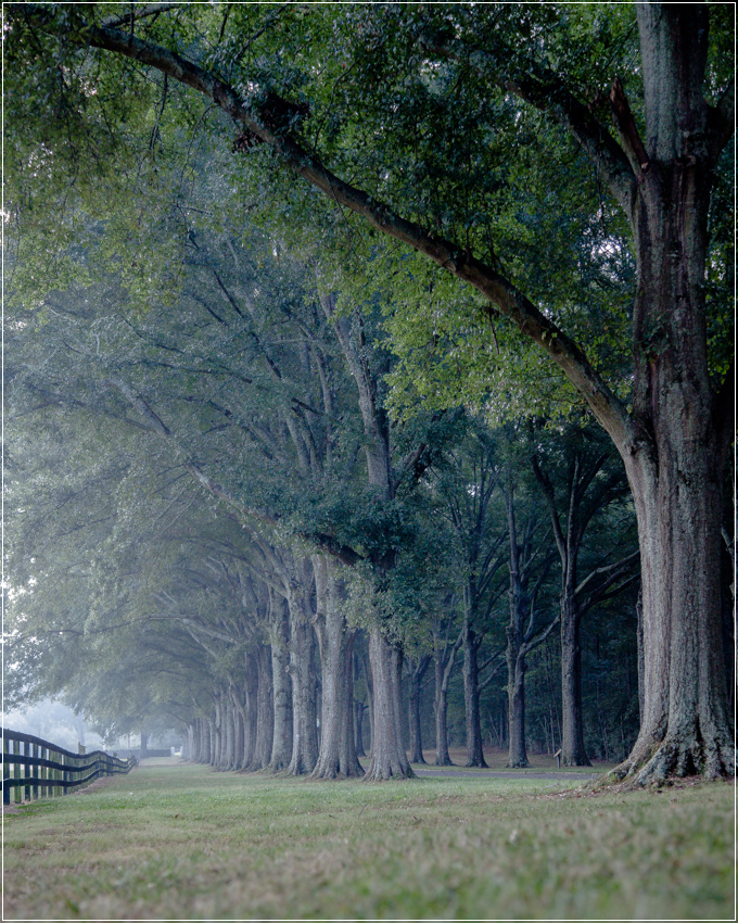 berry-college- path-1.jpg