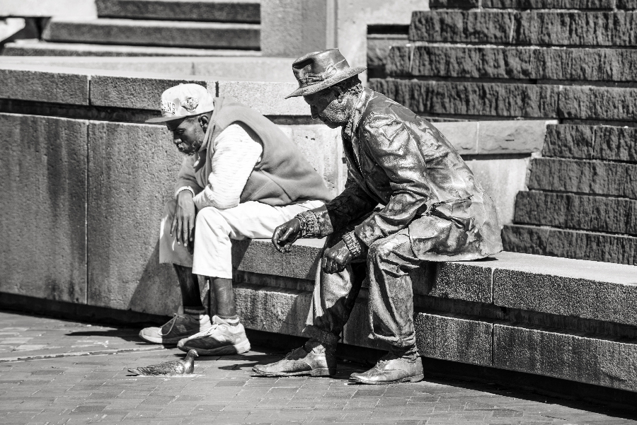 _DSC6249_9255 copy.jpg