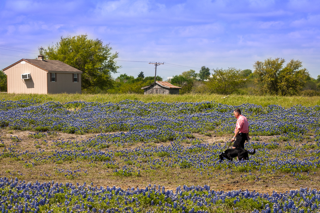 제목 없음-0515.jpg
