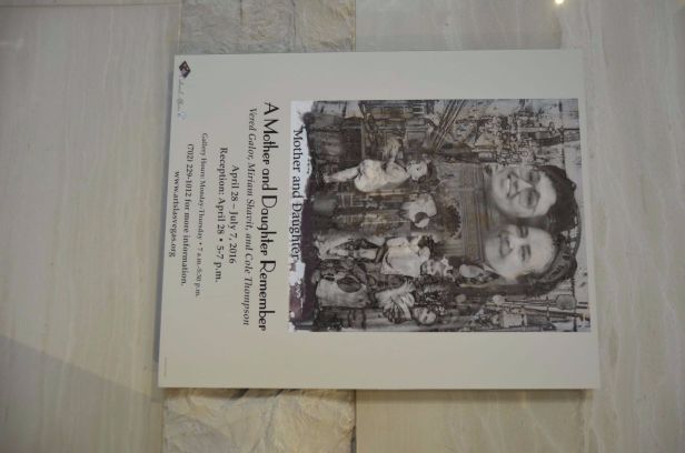 DSC_0337 (1) (1).jpg