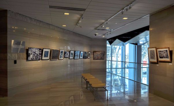 DSC_0338 (1) (1).jpg