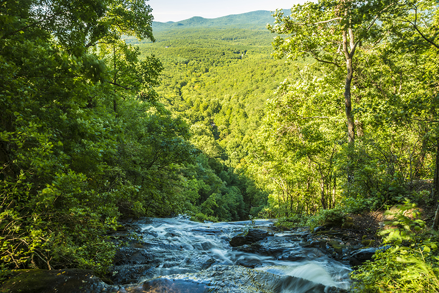 _DSC6454_9209 copy.jpg