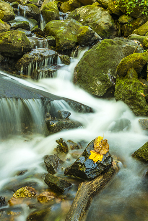 _DSC6427_9183 - Copy.JPG