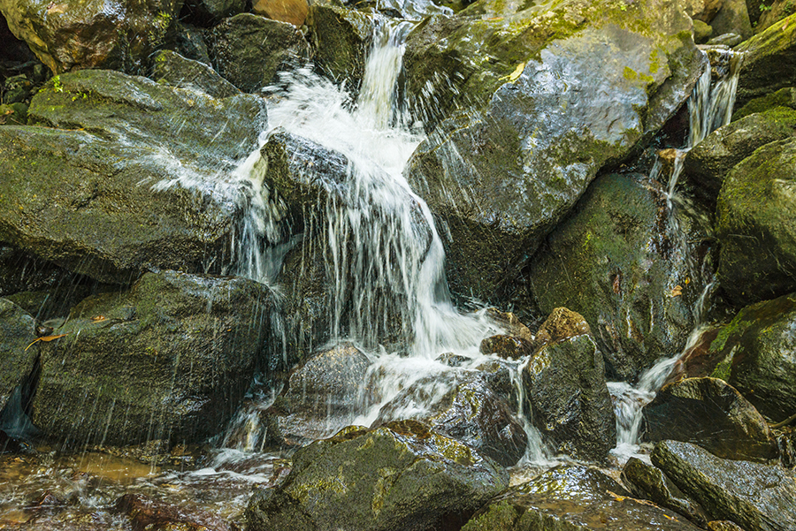 _DSC6433_9188 - Copy.JPG