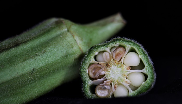 revisesd veggie 2.JPG