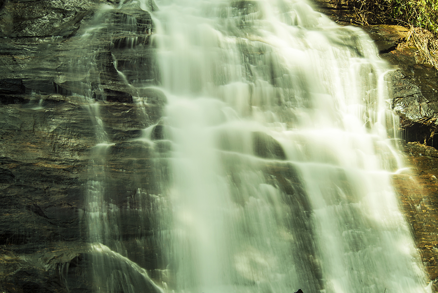 2-8-15 helen_7137.JPG