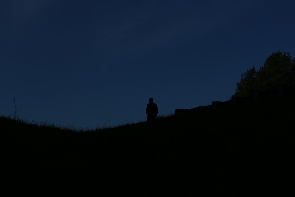 DV7W7865 (1024x683).jpg