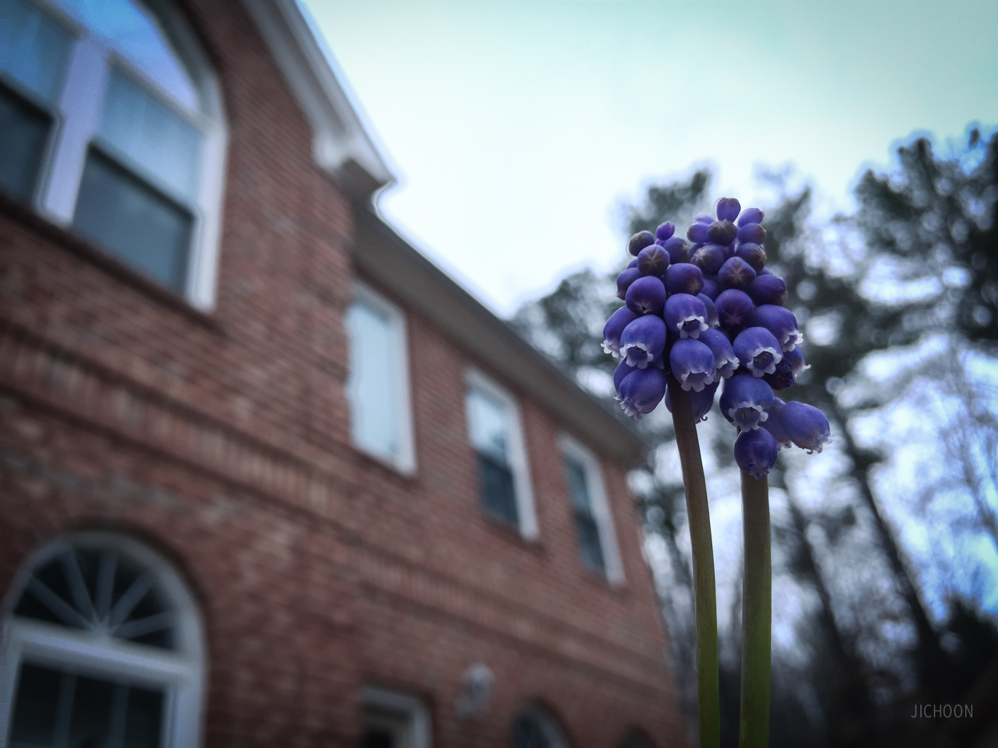 2015-03-21 17.52.15 HDR.jpg