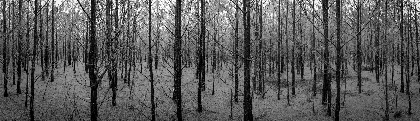 2015-03-22 15.05.13.jpg