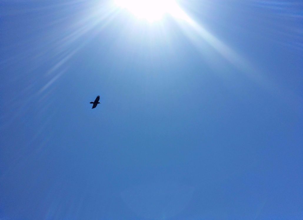 20160605_140527 (1) (1).jpg