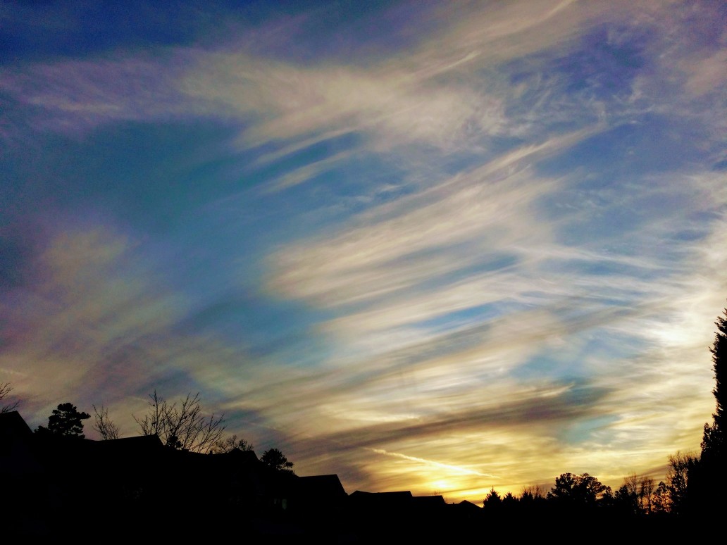 20170127_174904 (1) (1).jpg