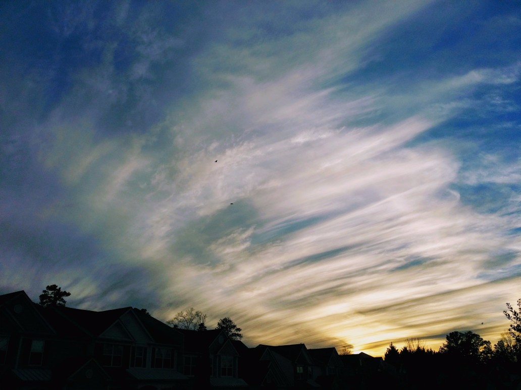 20170127_174018 (1) (1).jpg