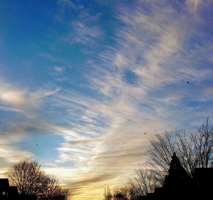 20170127_175359 (1) (1).jpg