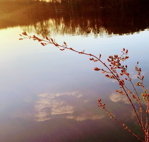 IMG_0609 - Edited.jpg