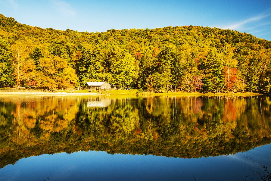 _DSC8652_1583 - Copy.JPG