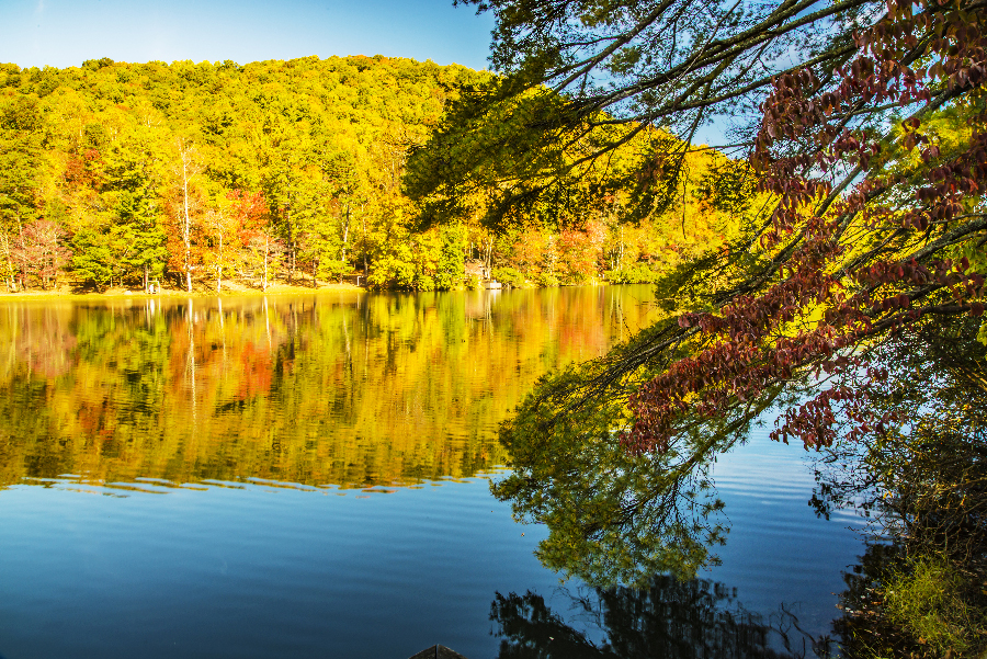 _DSC8675_1605 copy.jpg