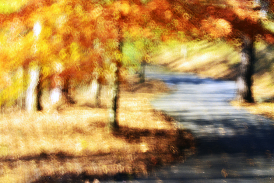 _DSC0513_3386 copy.jpg