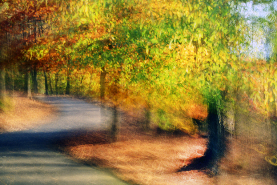 _DSC0507_3380 copy 2.jpg