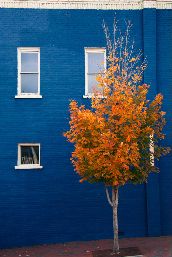 bluewall-1.jpg