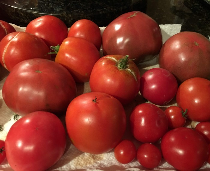 IMG_3186 - Edited.jpg