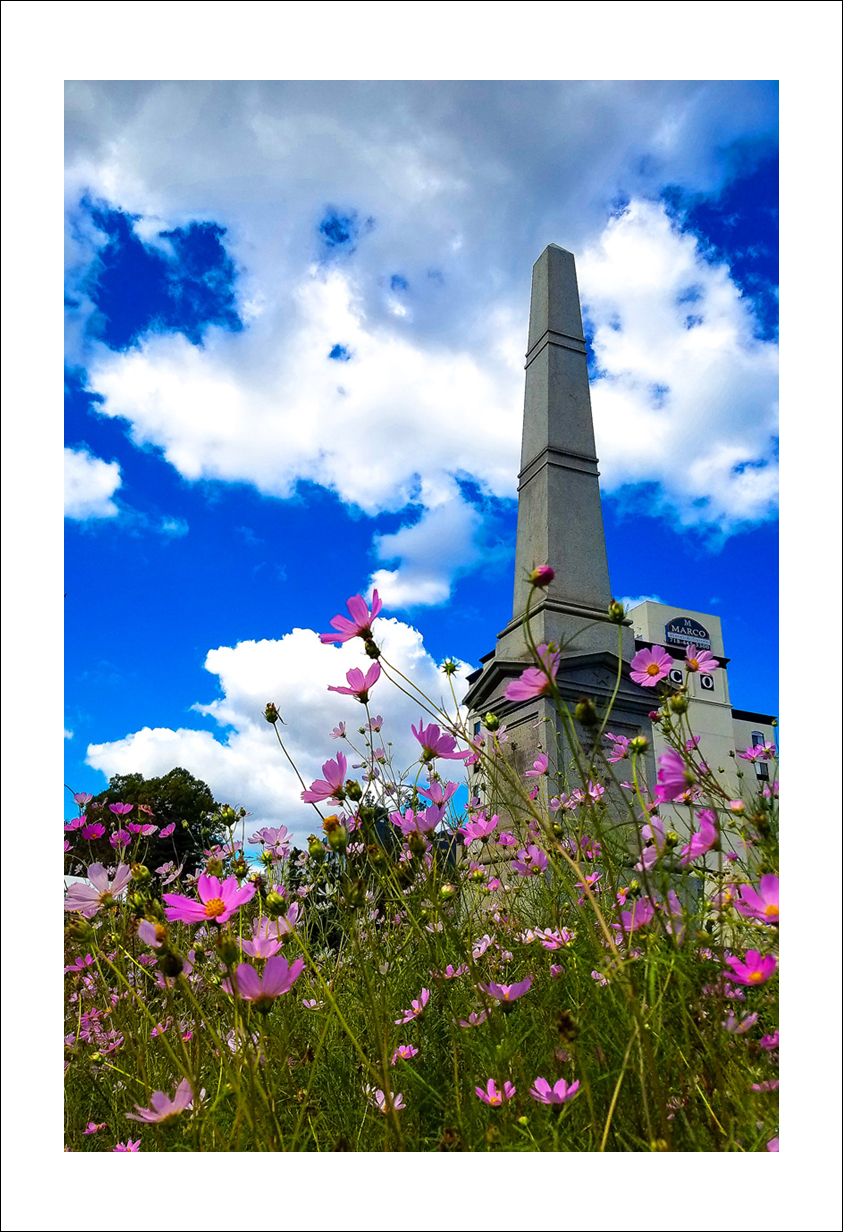 20160916_110753 copy.jpg