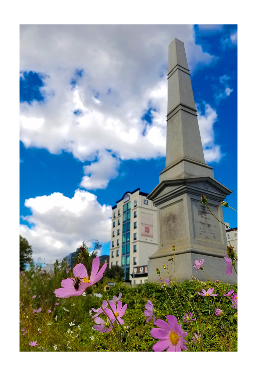 20160916_110808 copy.jpg