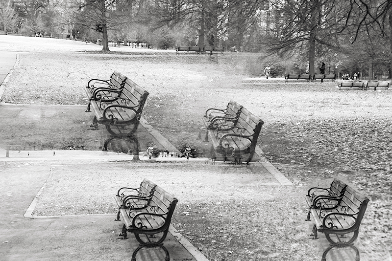 12-27-14 Piedmont park_4842.JPG