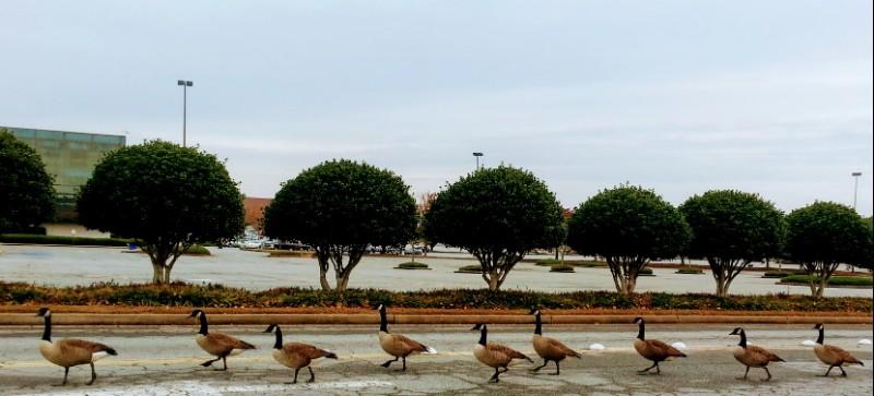 20131115_150351 (3).jpg