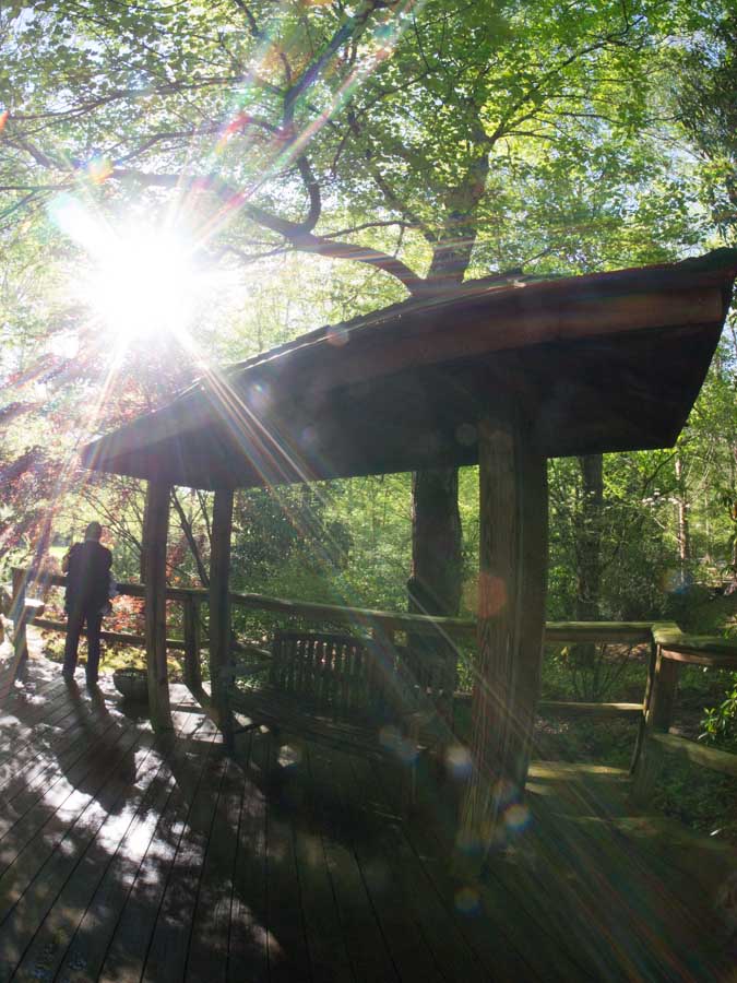 04-26 fisheye 01.jpg