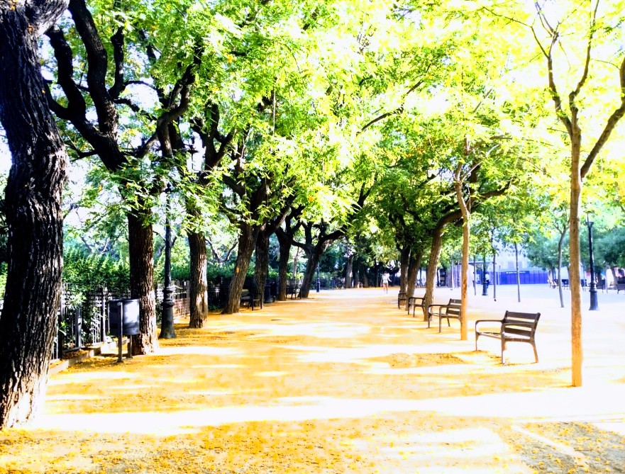 20170823_222911 (1).jpg