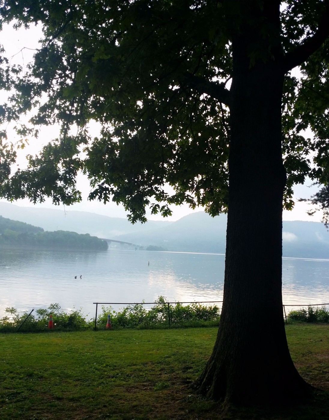 20160501_073116 (1).jpg