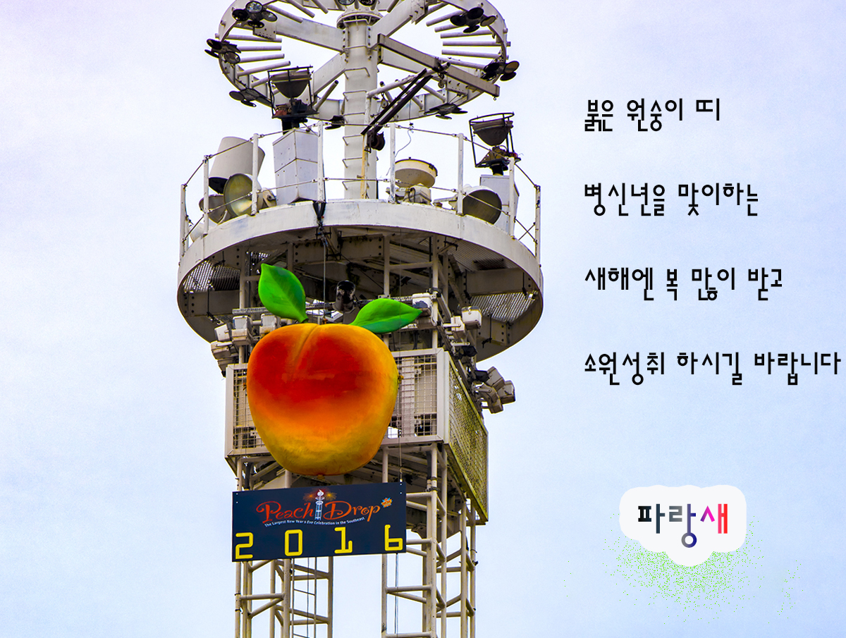 DSC_0059_4361 copy.jpg