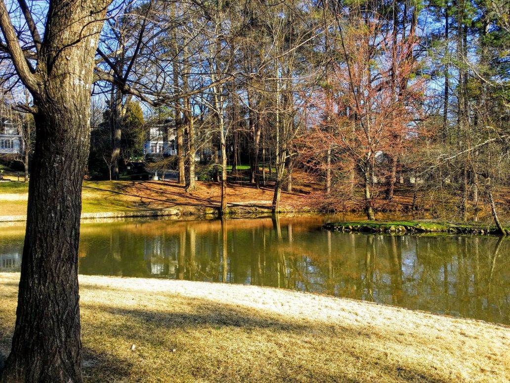 20160227_163147 (1) (1).jpg