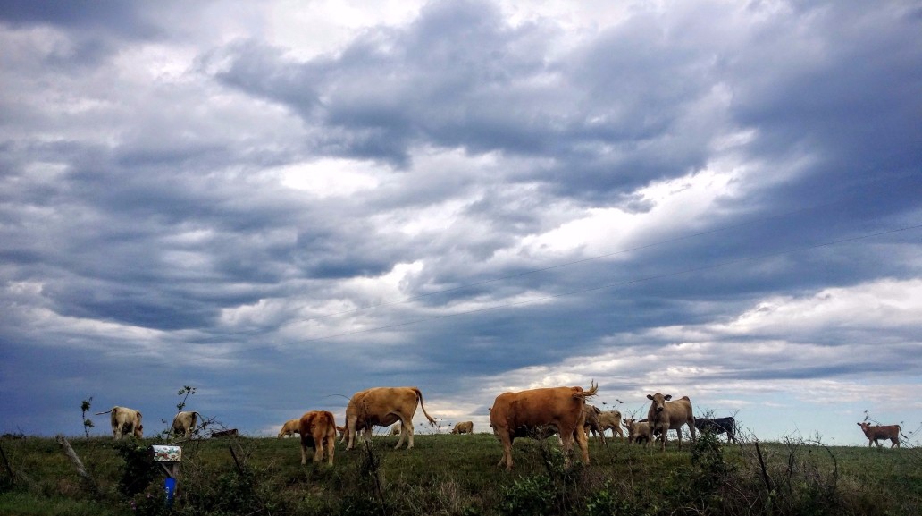 20160928_164754 (1) (1).jpg