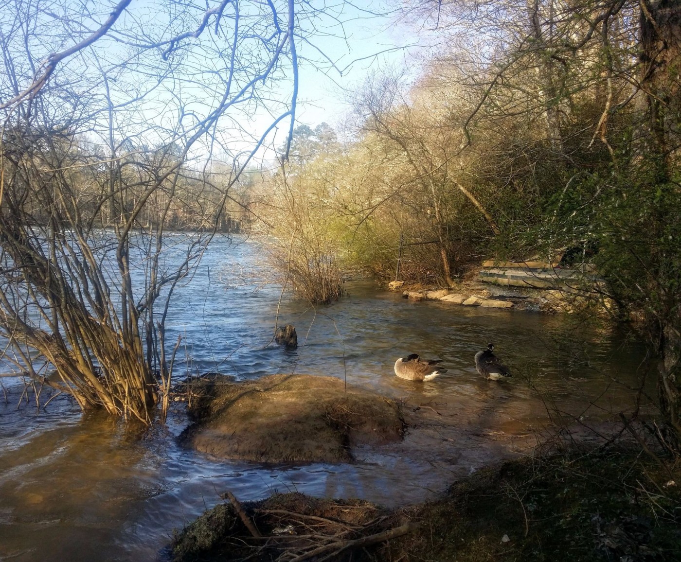 20160317_180121 (1).jpg