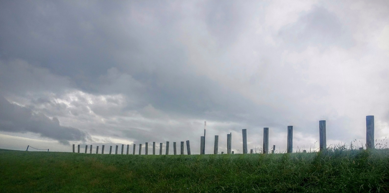 20160930_143234-1 (1).jpg