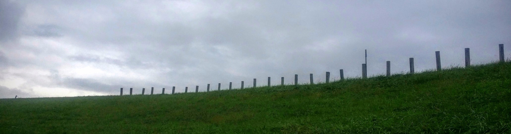 20160930_142132-1 (1).jpg