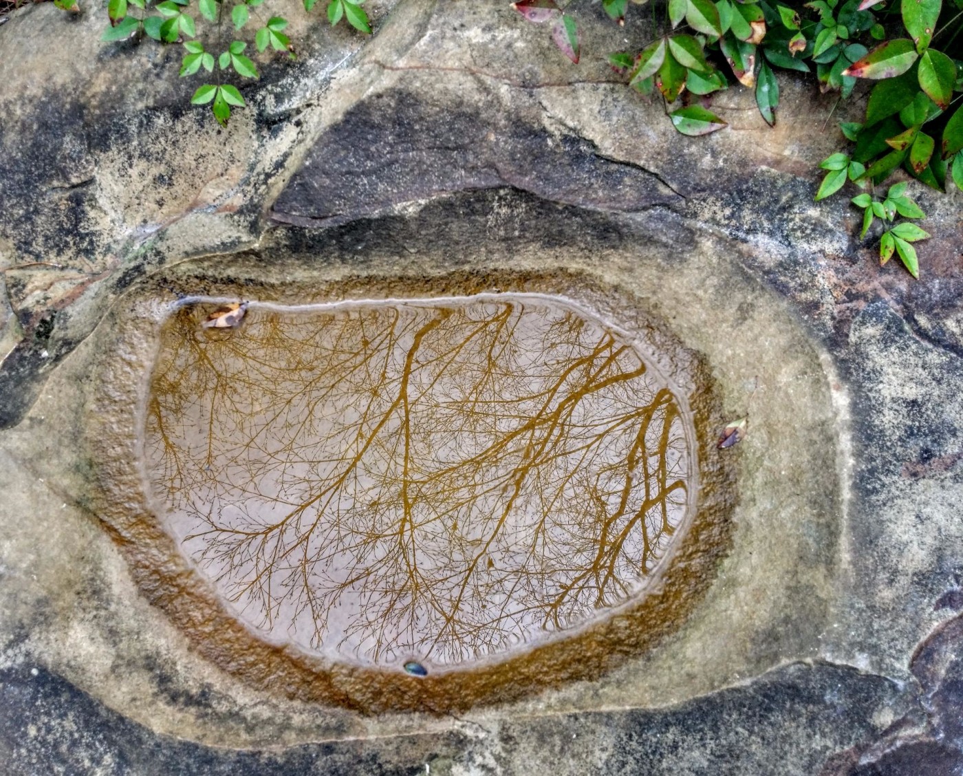 20160319_110115 (1).jpg