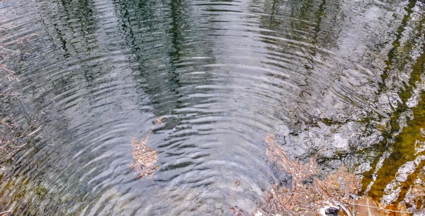 20160319_111236 (1).jpg