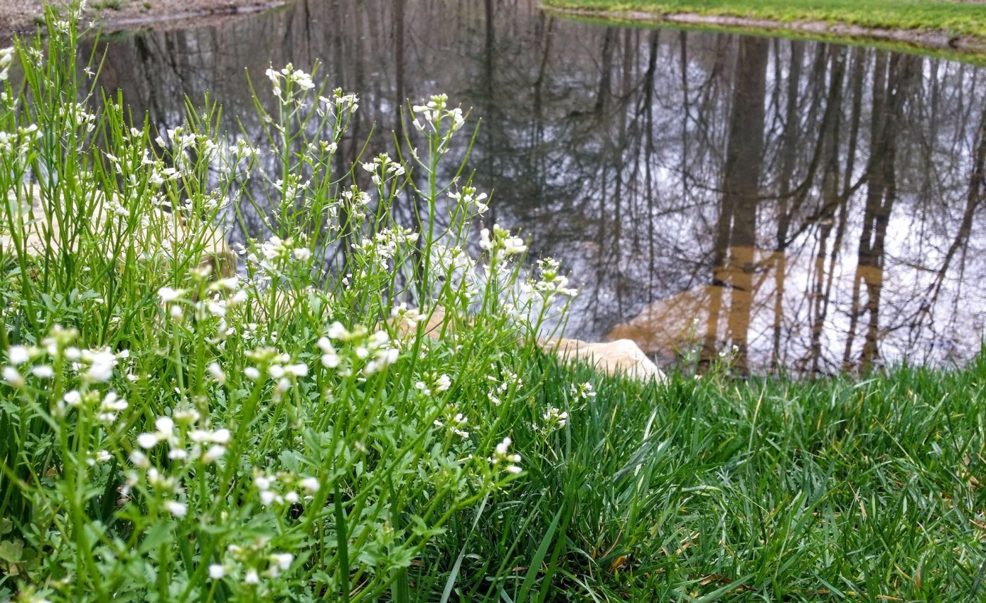 20160319_105521 (1).jpg