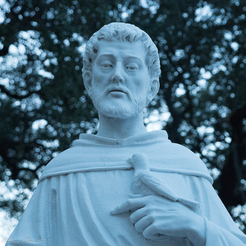 St. Francis color.JPG