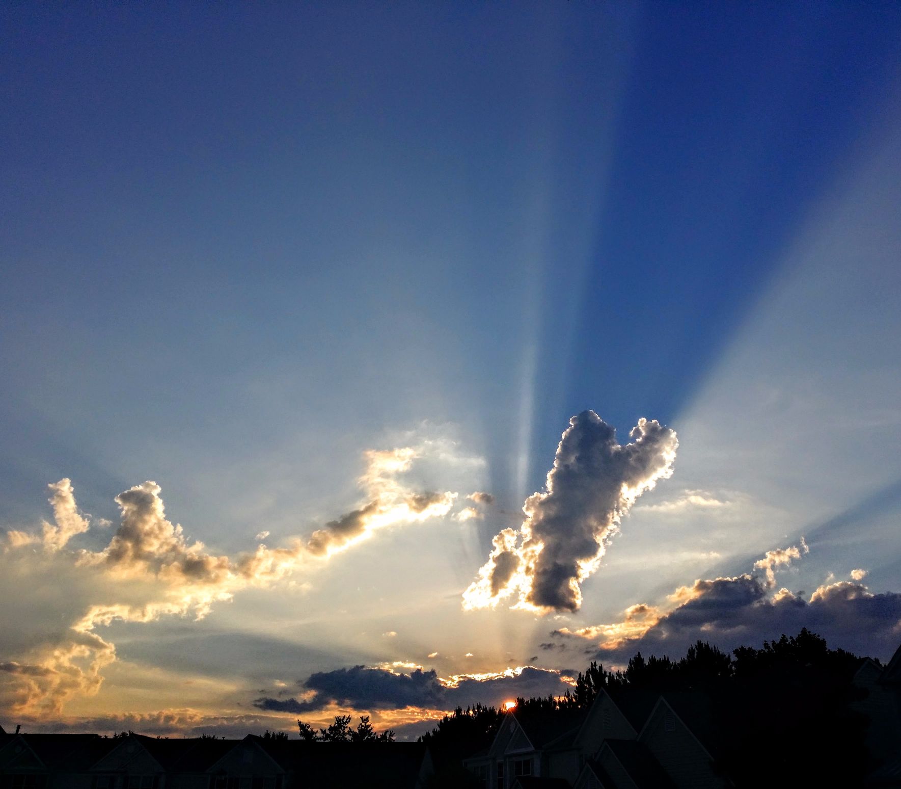 20160629_201012 (1).jpg