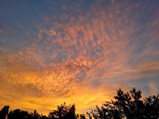 20160617_205842 (1) (1) (1).jpg